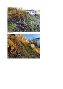 Fotografier av berg og terrengforhold på en tomt, med en eksisterende bygning i bakgrunnen.