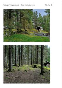 Fotografier av et planlagt byggeområde i skog, som viser eksisterende terreng og en liten hytte.