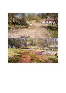 To fotografier av et landskap med en liten hytte og skog.