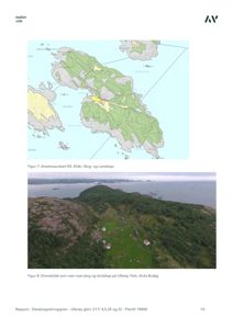 Et dronebilde som viser skog og landskap på Ullerøy, inkludert en liten hvit bygning.