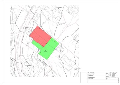 Situasjonsplan som viser tomtens grenser (rødt og grønt), nabotomter, vegforhold og topografi.