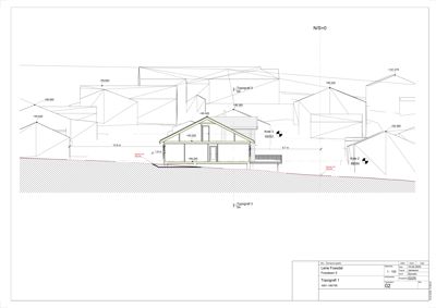 Snittegning (topografi) som viser bygningens plassering i terrenget med høydemål og omgivende terreng.