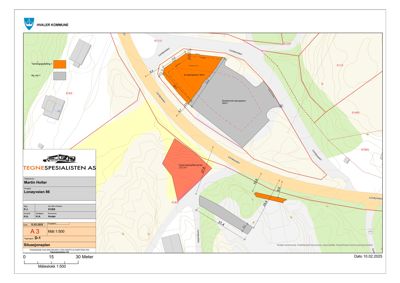Situasjonsplan som viser tomtens plassering i forhold til nabolag, veier (Loneøyveien) og høydeforhold (konturlinjer).