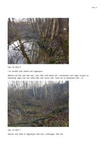 Fotografier av et naturområde med elvebunn, trær og vegetasjon.