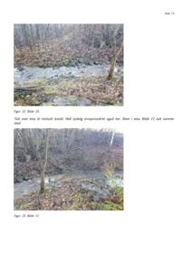 To fotografier av et naturområde med en elv eller bekke, trær og steiner. Bildene illustrerer erosjonssikring langs elvebredden.