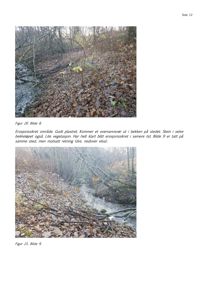 Fotografi av et naturskjært område med en bekke, vegetasjon og stein. Bildet viser et område som er vurdert som erosjonssikkert.