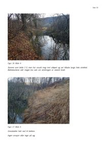 Fotografier av bekkekanter og gressbakke i et naturområde, med tilhørende beskrivende tekst.