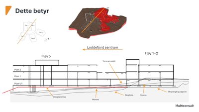 Situasjonsplan som viser bygningenes plassering i forhold til terreng, berg og utgravinger.