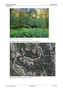 Et kart (flyfoto) som viser et område med bygninger og vegetasjon, med markerte punkter for ulike figurer.