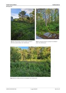 Fotografier av grøntområder, skog og åpent terreng på et planområde.