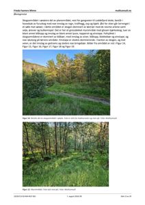Fotografier av skogsområder og myrområder i forbindelse med en økologisk undersøkelse.