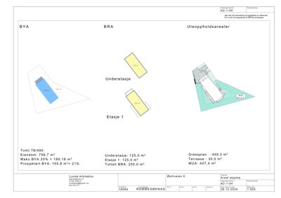 Situasjonsplan som viser tomtens form, bygningens plassering i forhold til nabogranser (BYA, BRA), og arealoppdelinger som uteoppholdsarealer, grøssplan og terrasser.