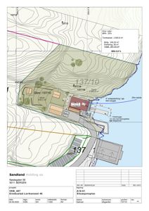 Situasjonsplan som viser tomtens beliggenhet, form, omgivende terreng (konturlinjer), nabotomter, vannkropp og bygningers plassering på tomten.