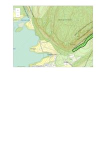 Et topografisk kart som viser terrengform, vannmasser (Svartdalen, Rammerudvika) og plassering av steder (Tangen, Skaugumåsen, Raset).
