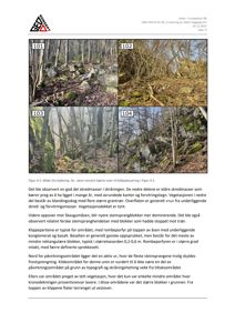 Fotografier (101-104) av befaringen i Furubakken 9B, som viser skredmasser, steinsprangblokker og vegetasjon.