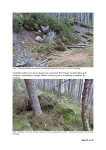 Fotografier av blokker i et skogområde med tilhørende tekstbeskrivelser.