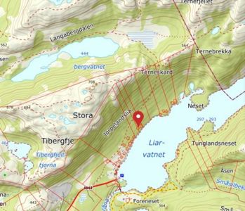 Kart over et fjellområde med topografiske linjer, vannmasser (bergvatnet, Liarvatnet) og stedsnavn (Stora, Tibergfje, Ternebrekka).