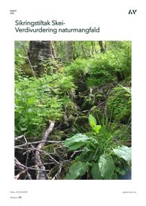 Fotografi av en skogsmark med vegetasjon, som illustrerer temaet for en verdivurdering av naturmangfold.