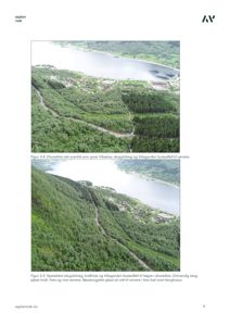 Dronefoto som viser et landskap med skog, en elv og et bustadfelt ved en innsjø.