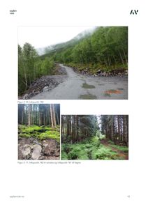 Fotografier av et terrengområde med skog og en vei, dokumentert som infopunkter i en asplan.