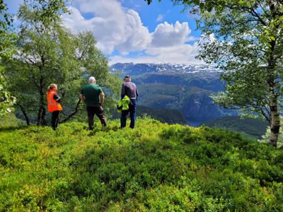 Fotografi av tre personer som står på en grønn ås og ser ut over et fjordlandskap med fjell i bakgrunnen.