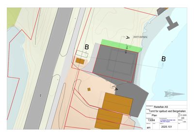 Situasjonsplan som viser tomtens beliggenhet ved Bergshølen, bygningers plassering, vei (Reitefisk) og vann. Planen inneholder også høydekurver og en nordpil.
