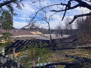 Fotografi av en bygning under oppføring eller renovering, sett fra et lavt vinkel med trær i forgrunnen.