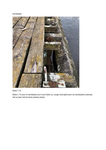 Fotografi av en kantbjelke som viser skade og forvitring langs sjøfronten.