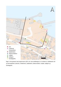 Et kart som viser kartfesting av ulike tre- og buskarter (alm, rynkerose, etc.) på en tomt med gater som Havnegata og Storgata.