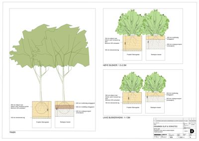 Detaljtegning som viser planlegging for planting av trær og busker med spesifikke målinger for jordlag og planteplassering.