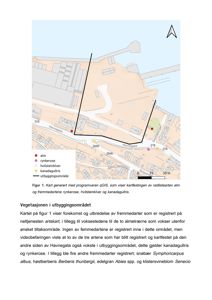 Et kart som viser kartfestingen av rødlistearter (alm, rynkerose, hvitsteinklver og kanadagullris) i et utbyggingsområde, inkludert vegnavn og en skala.