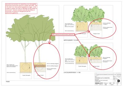 Detaljtegning for beplantning av betongflater med spesifikke lagtykkelser for ulike busk- og treplanter.