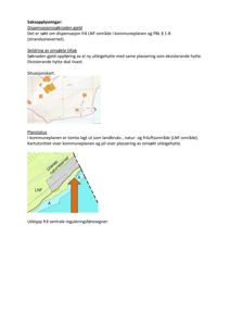 Bildet viser en saksopplysning med to kart. Det øverste er et situasjonskart som viser plassering av hytter i et område, og det nedre er et kartutsnitt som viser kommunale reguleringsområder (LNF, naturreservat) og en pil som indikerer plassering av en ny utleiehytte.