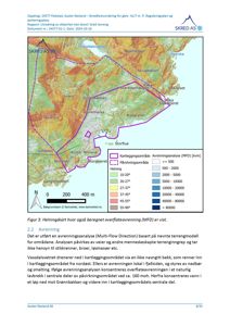 Heiningskart og overflateavrenningskart (MFD) for et kartleggingsområde i Fjeldst, Auster Nesland.