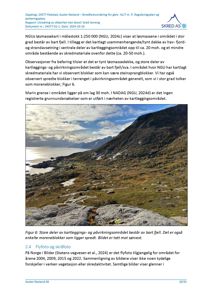 Fotografi av et skredutsatt terreng med bart fjell, moreneblokker og havfjord i bakgrunnen.