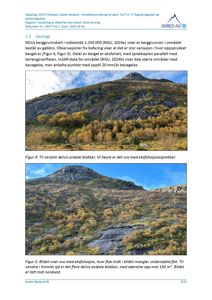 Fotografier av berggrunn og fjellside i et skredutsatt område, inkludert beskrivelser av eksfoliasjon og blokker.