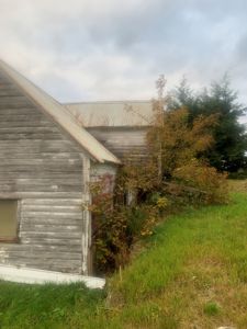 Fotografi av en gammel, forfallelig trebygning sett fra siden, med grønt gress og busker i forgrunnen.