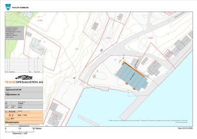 Situasjonsplan som viser tomtens beliggenhet, grenser, eksisterende og planlagt bebyggelse samt infrastruktur.