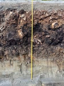 Fotografi av et jordprofil med en målestokk (gul linjal) for å vise dybde og lagstruktur.