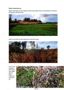 Fotografier av eiendomstomta som viser terrengforhold, berg og vegetasjon.