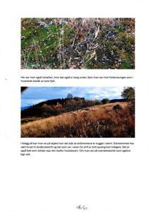 To foton som viser terreng, fjell og vegetasjon på eiendom, med tekstbeskrivelser under hver.