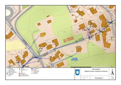 Situasjonsplan som viser tomtens form, grenser, høydeforhold (konturlinjer), naboeiendommer og infrastruktur.