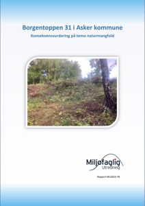 Fotografi av et naturområde med trær og vegetasjon, sannsynligvis på byggeplass eller i nærheten av eiendommen.