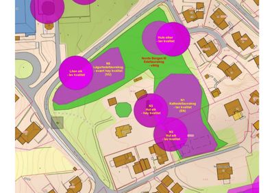 Situasjonsplan som viser tomtens form, grenser, naboeiendommer, vegnett og områder med skogstypologier (f.eks. 'Hule eik', 'Lågtordellauvskog').