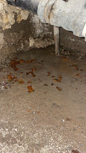 Fotografi av en fuktig, skitten gulvflate under en bygning, med synlige rør og tegn på vannskade.