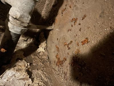 Fotografi av en fuktig, skitten gulvflate med en hvit plastpipe som renner ut i en sprekke. Det ser ut til å være et lekkasje eller vannskade i et underlag eller kjeller.