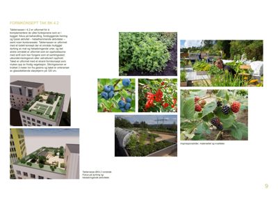 En samling av fotobilder som viser en takterrasse med urter, bær og en drivhusstruktur. Bildene er brukt som inspirasjonsmateriale for et arkitektonisk konsept.
