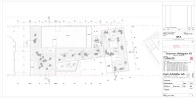 Situasjonsplan som viser tomtens grenser, plassering av bygninger, trær og andre elementer på tomten.