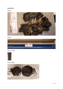 Fotografier av jordprøver (borpunkter) tatt under en geoteknisk undersøkelse.