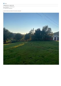 Fotografi av en grønn, åpen tomt med trær og et hus i bakgrunnen.